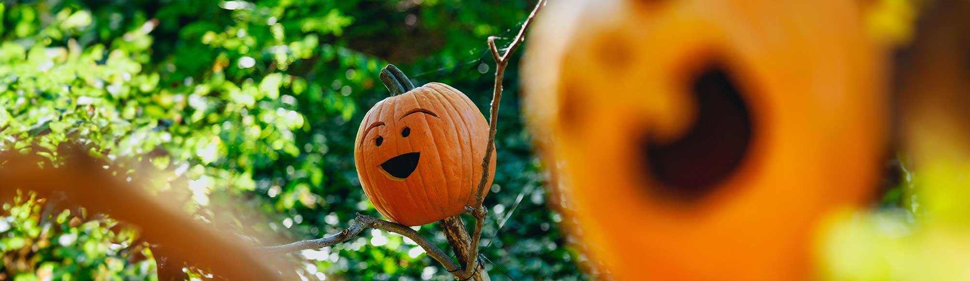 Horoskop Oktober 2024