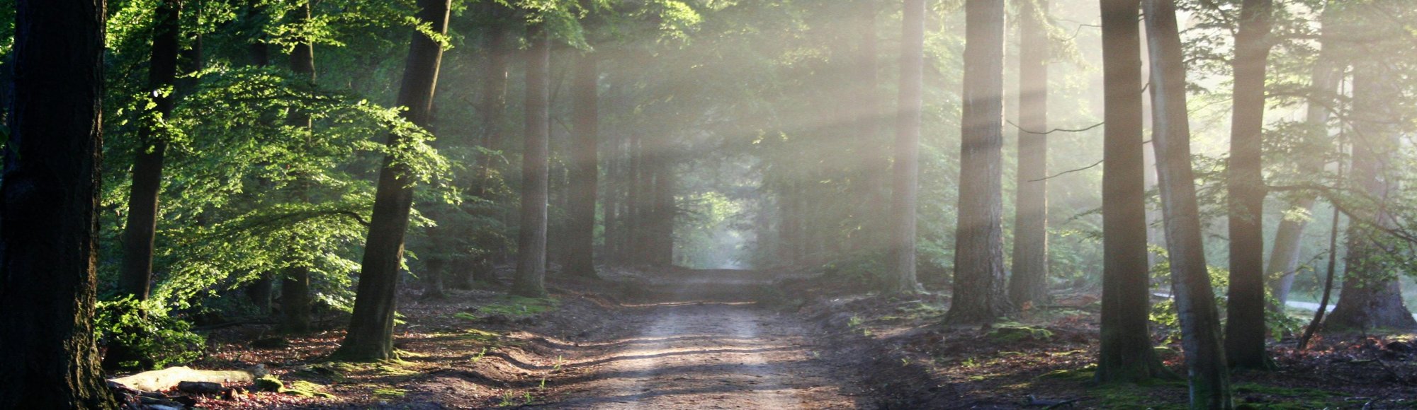 Horoskop November 2024