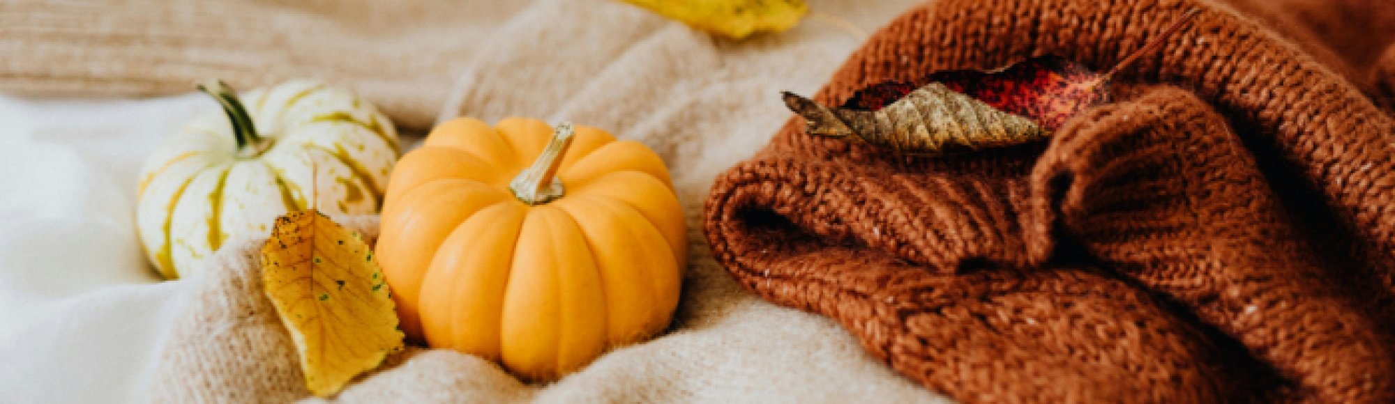 Horoskop November 2025
