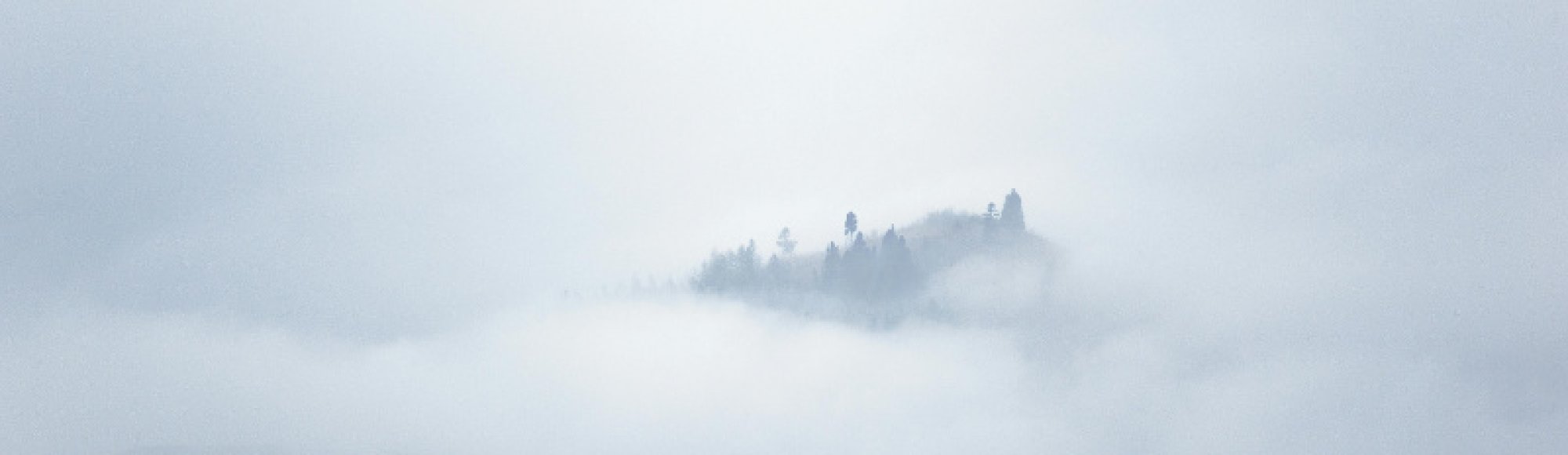 Diskurs Dezember 2025