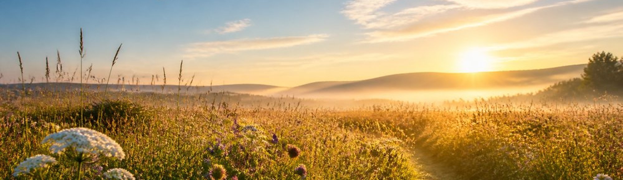 Horoskop Juni 2026