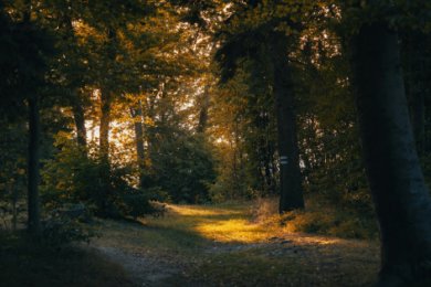 Horoskop September 2025