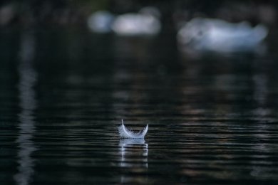 Die Dinge, die im Leben wirklich etwas bedeuten, lassen sich nie in Worte fassen