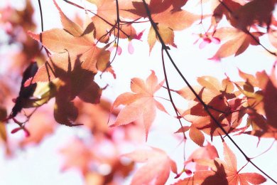 Horoskop Oktober 2025