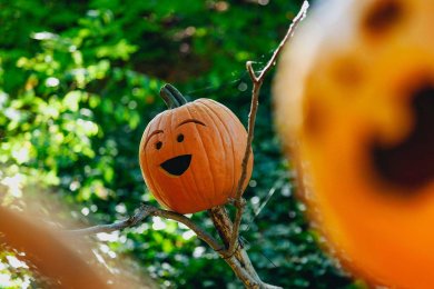 Horoskop Oktober 2024