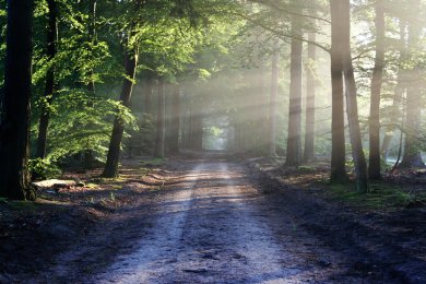 Horoskop November 2024