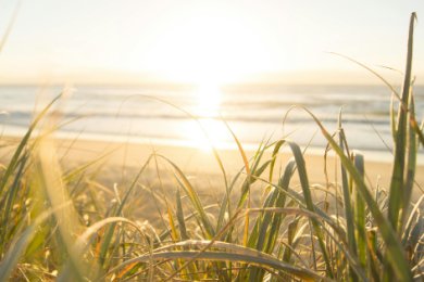 Horoskop August 2025